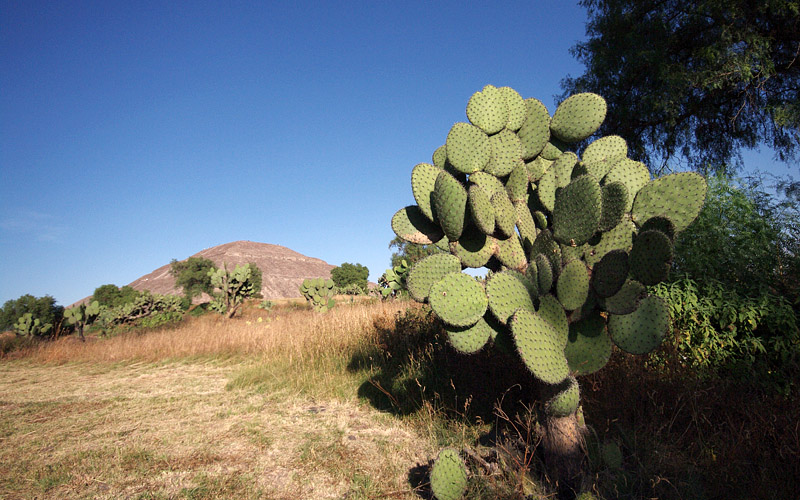 Palju teravust - Mehhiko, Teotihuacan 